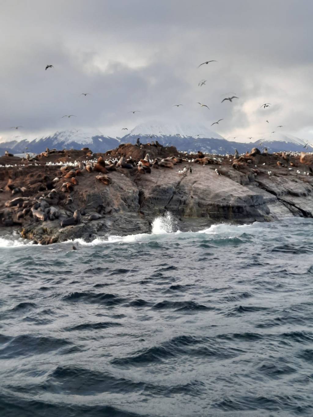 Postales del fin del mundo: 
El Canal de&nbsp;Beagle